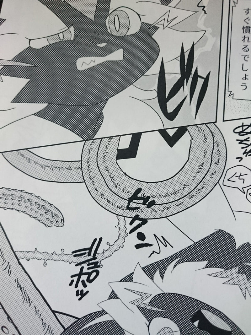 Pokemon Doujinshi Zeraora Uke (B5 20pages) Kemono Furry Ikaneko Bu Tettei Ikusei