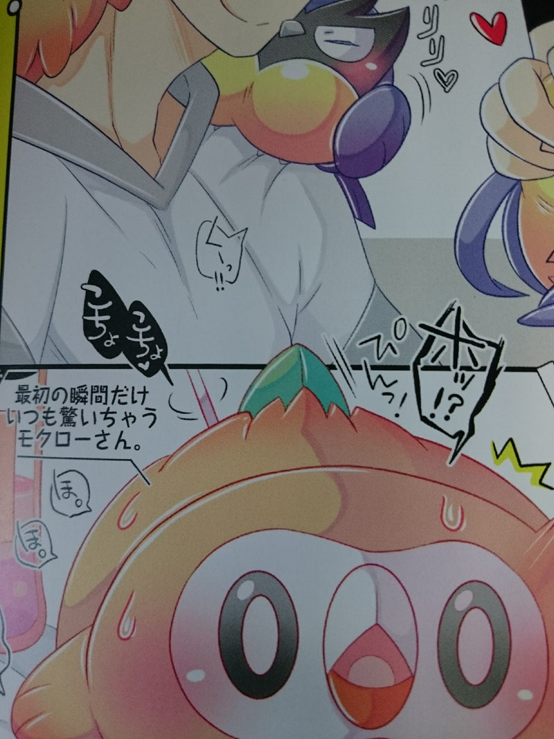 Pokemon doujinshi (B5 18pages) All color Illustrations Komoriya LOG #04