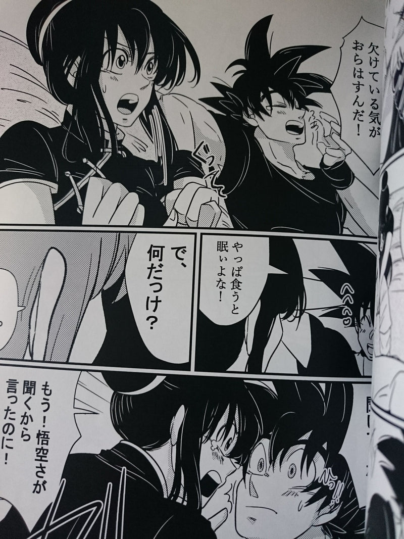 Dragon Ball doujinshi (A5 40pages) Goku X Chichi Sorairo days Uimeshi