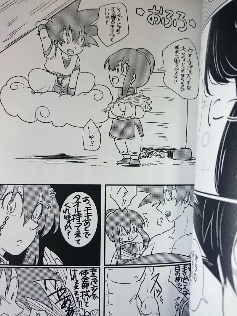 Dragon Ball doujinshi (A5 40pages) Goku X Chichi Sorairo days Uimeshi