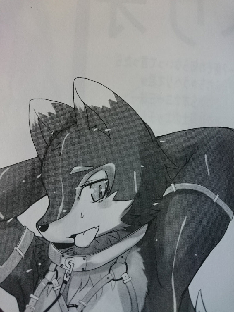 Kemono doujinshi furry illstrations (A5 26pages) made fur 14