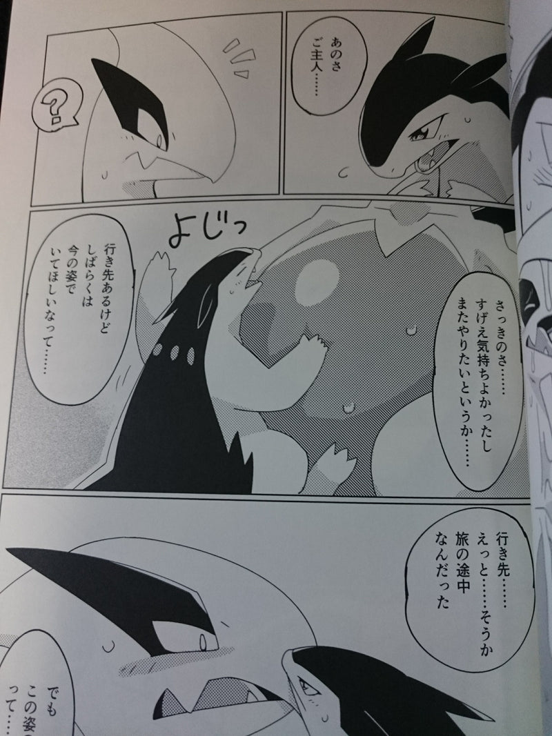 POKEMON doujinshi Typhlosion X Lugia etc. (A5 24pages) kemono furry LUGIMANIA #2 Gotouroku-Goku bioZS