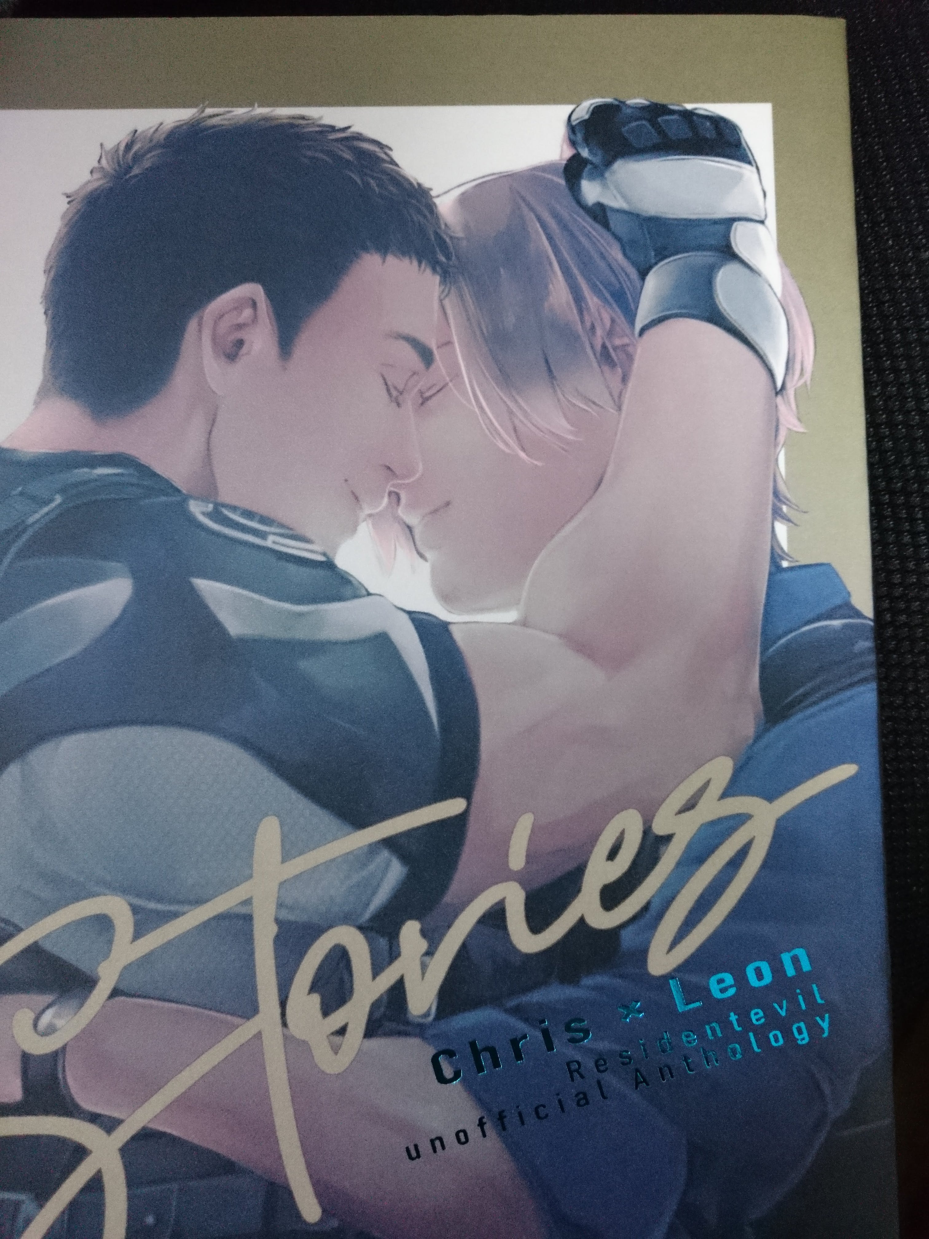 Biohazard Resident evil doujinshi Chris x Leon (A5 190pages