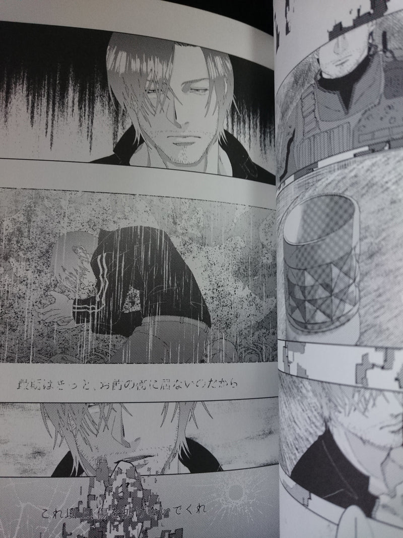 Biohazard Resident evil Doujinshi Piers X Chris (A5 164pages) All