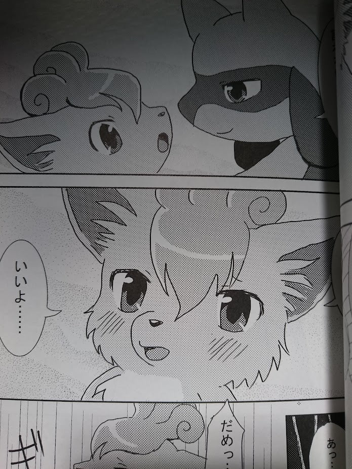 Doujinshi POKEMON Lucario X Vulpix (A5 28pages) Pocket drop Later Years