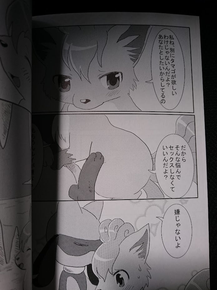 Doujinshi POKEMON Lucario X Vulpix (A5 28pages) Pocket drop Later Years