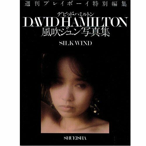 Silk Wind by David Hamilton Rare Photo book of Fubuki Jun ese Actress 1982 fs